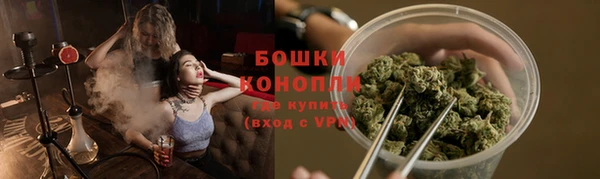 шишки Кукмор