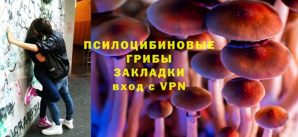 2c-b Ладушкин
